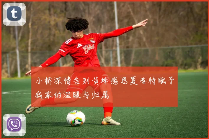 小桥深情告别黄蜂感恩夏洛特赋予我家的温暖与归属
